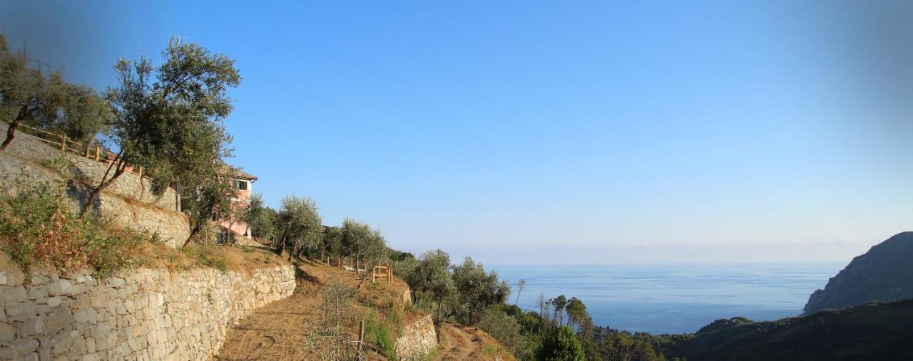 Agriturismo Missanega Μοντερόσο αλ Μάρε Εξωτερικό φωτογραφία