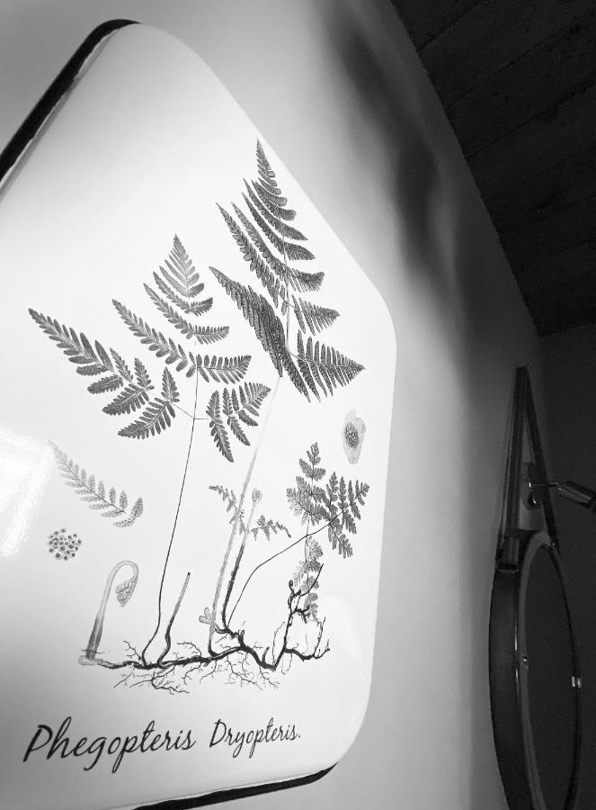 Agriturismo Missanega Μοντερόσο αλ Μάρε Εξωτερικό φωτογραφία
